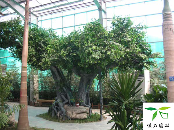 成都grc假山制作公司聯(lián)系方式