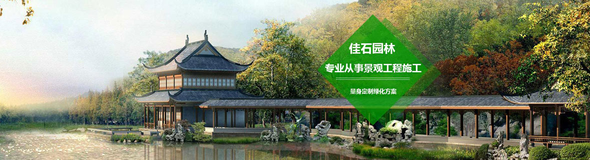 案例展示 案例展示