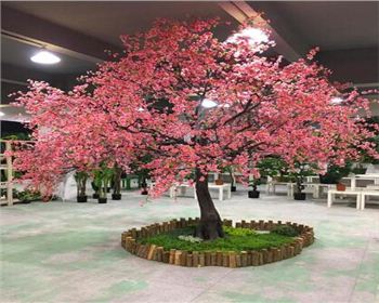 成都仿真假樹制作的要點(diǎn)都有哪些呢？
